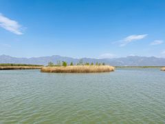 -野鸭湖国家湿地公园