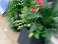 -风云再起游乐汇(南京常发广场店)