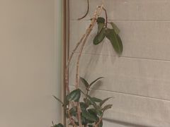 -俏立方·15年新楚菜