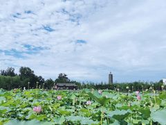 -西海子公园