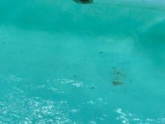 -亚马逊丛林水乐园