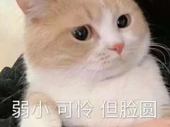 -左岸国际电影城(松江沃尔玛店)