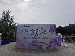 -嘉定紫藤园
