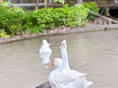 -晓雯人家