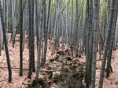 -达蓬山旅游度假区