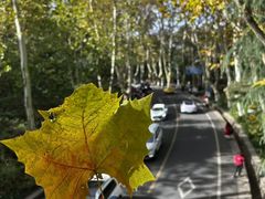 -南京国际会议大酒店