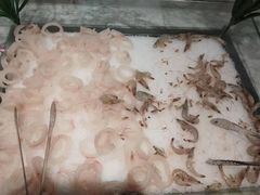 -火锅岛潮牌自助餐厅(天津天佑城店)