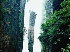 -恩施大峡谷