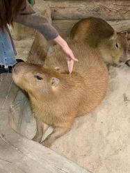 -Zoolung Zoolung动物主题公园(海信广场店)