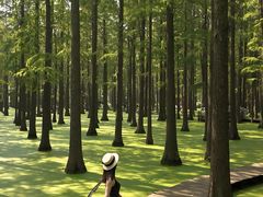 -渌洋湖湿地公园