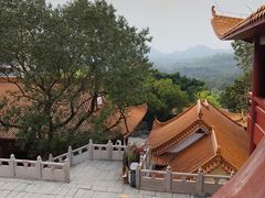 -深圳仙湖植物园