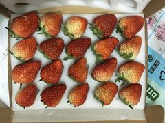 -同济大学(嘉定校区)