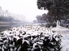 景点-花溪公园