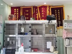 -悦宠动物医院(京丰分院)