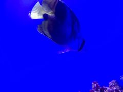 -海合安青岛极地海洋公园