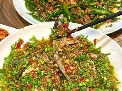 -老号尤兔头(幸福店)