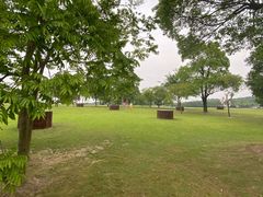 -上海月湖雕塑公园