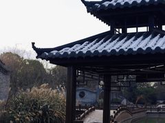 -朴园