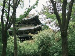 -迎泽公园