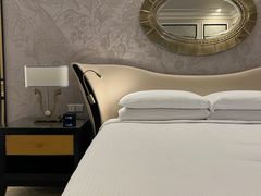 -澳门威尼斯人综合度假区