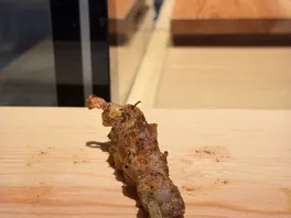 腿**
