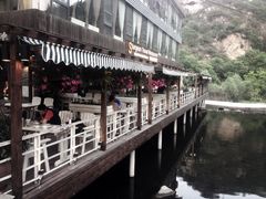 -Local泰莲庭(虹鳟鱼店)
