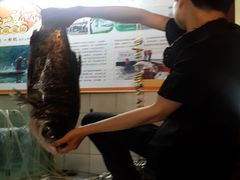 -河洛鱼庄(古城路店)