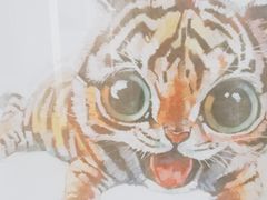 -沃洛格达(万象城n次方店)