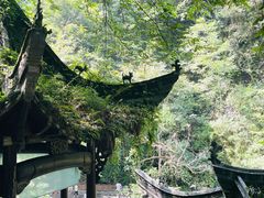 -石台牯牛降景区