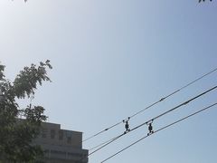 -首都医科大学附属北京同仁医院(西区)