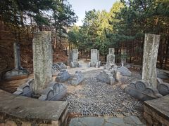 -北京鹫峰国家森林公园