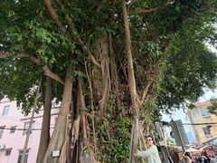-三溪村