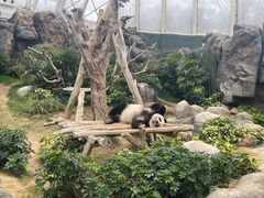 -香港海洋公园
