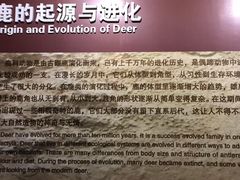 -北京麋鹿生态实验中心