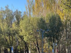 -吉林大学(前卫南区)