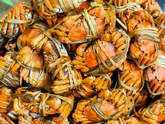 -蟹村草堂·苏式园林人文农家·大闸蟹