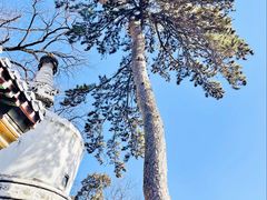 -潭柘寺景区