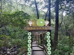 -大岭沟猕猴桃谷风景区