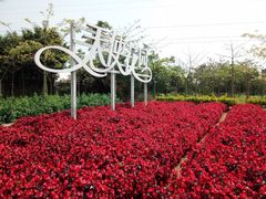 -广东花都香草世界旅游度假区