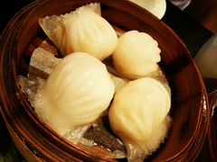 招牌虾饺皇-添运来(茶园奥园广场店)