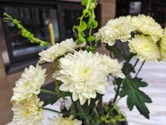 -南堂馆·新川菜(天府三街店)
