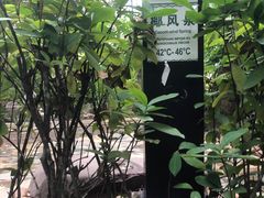 -三亚珠江南田温泉度假区