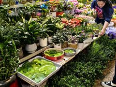 -双季花艺园艺市场(浦东店)