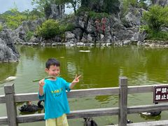 -千岛湖石林