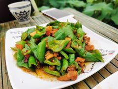 -渭南桃花源民俗文化园