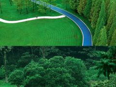 -宜兴龙背山森林公园