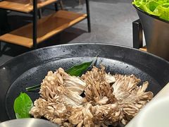 有机舞菇-煲宫猪肚鸡(晶品店)