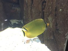 -苏州海洋馆