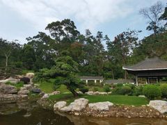 -深圳仙湖植物园
