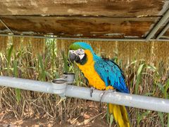 -西霞口神雕山野生动物世界